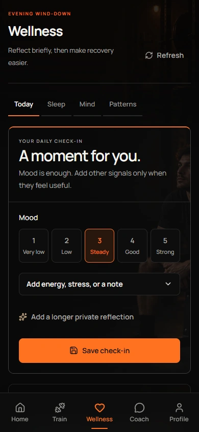 Current beta daily check-in with mood selection and optional energy, stress and reflection controls. Sample data.